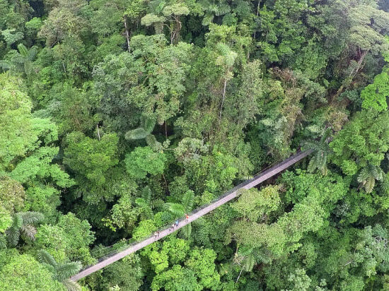 Buena Vista Costa Rica Tour