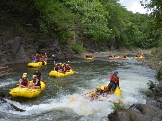 Rafting and Ponderosa Animals