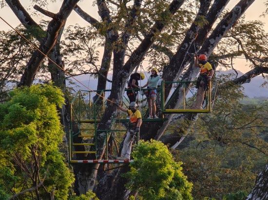 Zipline + Lunch Tour